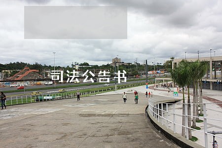 司法公告书 司法公告书