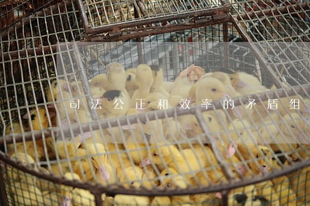 司法公正和效率的矛盾组合 司法公正和效率的矛盾组合