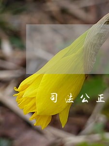 司法公正遗产收费标准 司法公正遗产收费标准