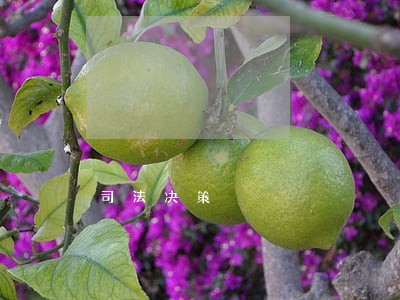 司法决策