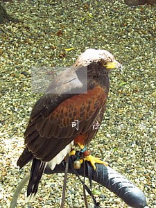 司法冻结3天会自动解冻吗