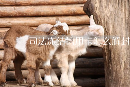 司法冻结信用卡怎么解封 司法冻结信用卡怎么解封