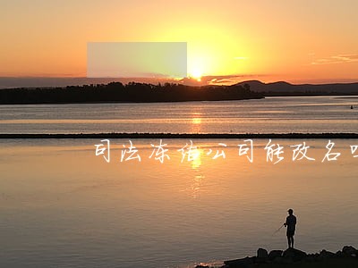 司法冻结公司能改名吗