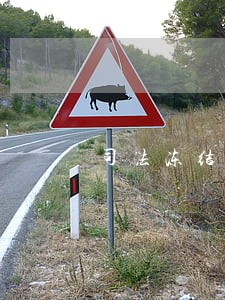 司法冻结半年续冻可能性大吗