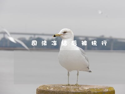 司法冻结后被执行 司法冻结后被执行