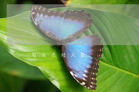 司法冻结天数 司法冻结天数