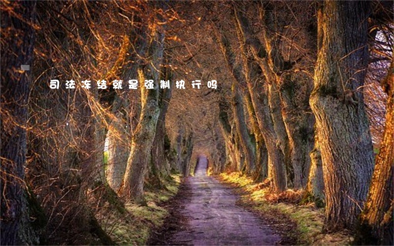 司法冻结就是强制执行吗 司法冻结就是强制执行吗