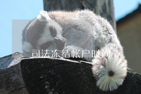 司法冻结帐户时间 司法冻结帐户时间