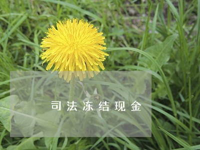 司法冻结现金 司法冻结现金