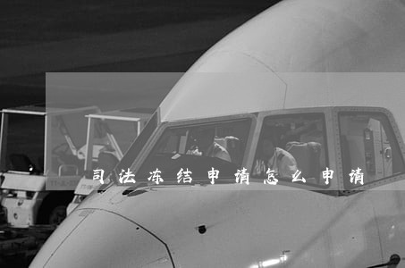 司法冻结申请怎么申请 司法冻结申请怎么申请