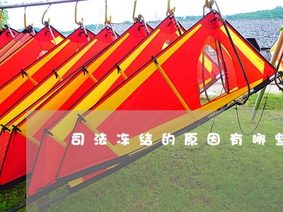 司法冻结的原因有哪些