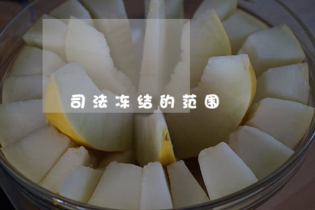 司法冻结的范围 司法冻结的范围