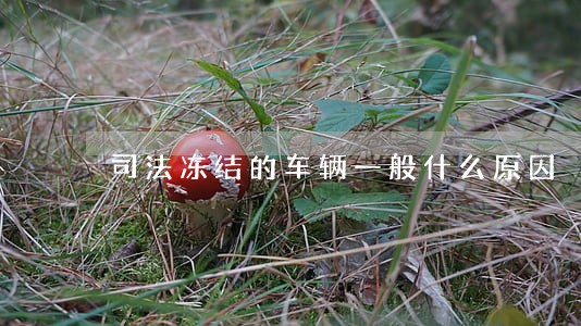 司法冻结的车辆一般什么原因