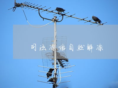 司法冻结自然解冻