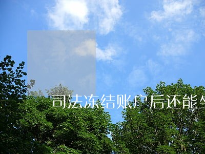 司法冻结账户后还能坐飞机吗 司法冻结账户后还能坐飞机吗