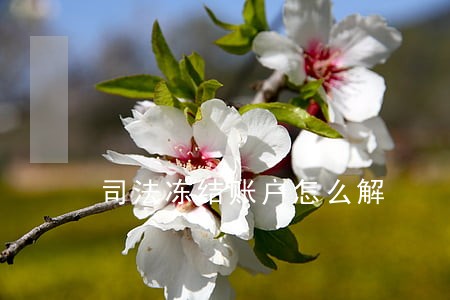司法冻结账户怎么解