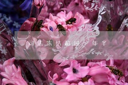 司法冻结超过一年半