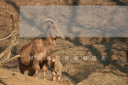司法冻结还能取钱么