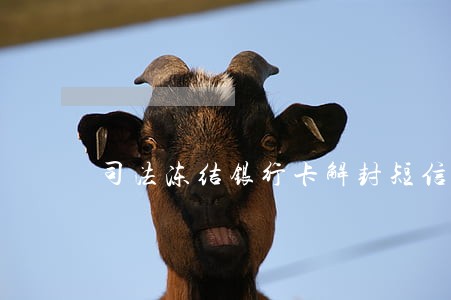 司法冻结银行卡解封短信 司法冻结银行卡解封短信