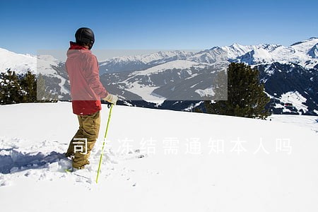 司法冻结需通知本人吗 司法冻结需通知本人吗