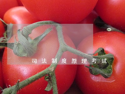 司法制度原理考试