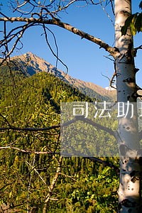 司法助理员如何干好本职工作 司法助理员如何干好本职工作