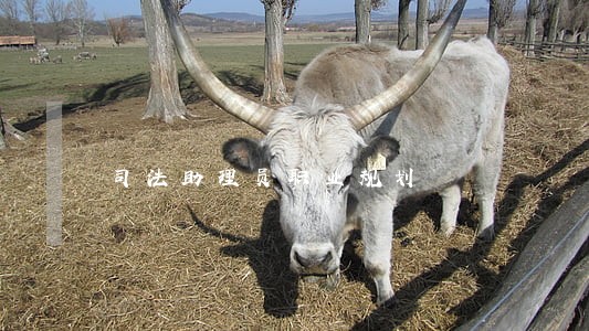 司法助理员职业规划 司法助理员职业规划
