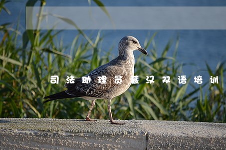 司法助理员藏汉双语培训总结 司法助理员藏汉双语培训总结