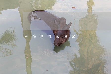 司法助理的发展 司法助理的发展