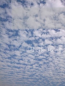 司法化论文 司法化论文
