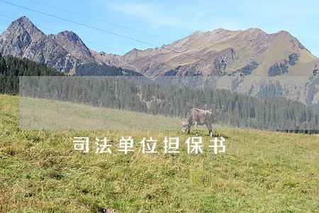 司法单位担保书