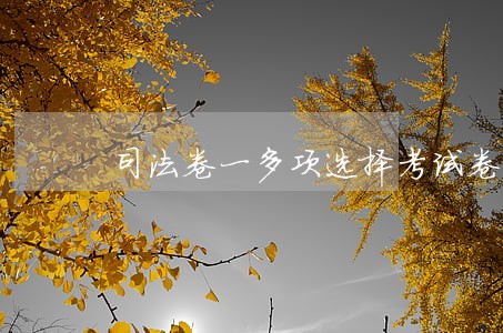 司法卷一多项选择考试卷模拟考试 司法卷一多项选择考试卷模拟考试