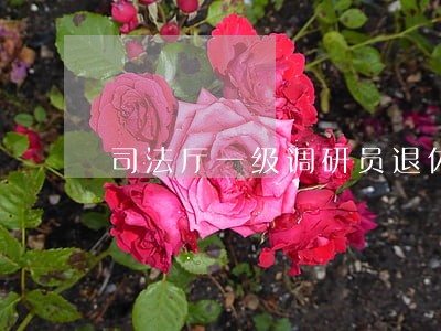 司法厅一级调研员退休金 司法厅一级调研员退休金