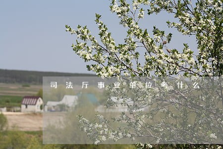 司法厅事业单位考什么