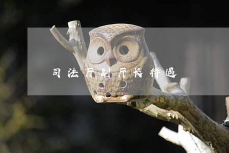 司法厅副厅长待遇
