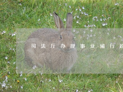 司法厅办理事业编行政执法证