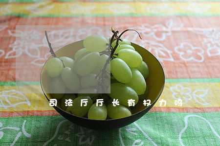 司法厅厅长有权力吗 司法厅厅长有权力吗
