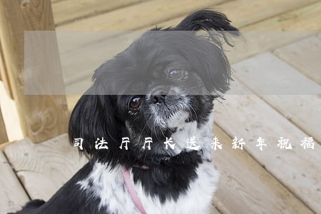司法厅厅长送来新年祝福 司法厅厅长送来新年祝福