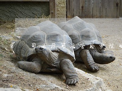 司法厅可以管检察院吗 司法厅可以管检察院吗
