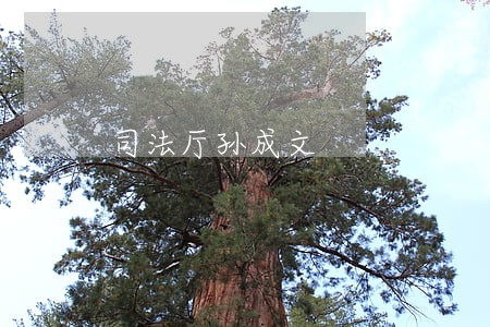 司法厅孙成文