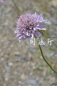 司法厅是不是实权单位 司法厅是不是实权单位