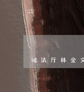司法厅林金文 司法厅林金文