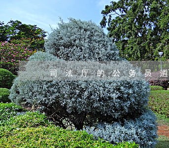 司法厅的公务员遴选