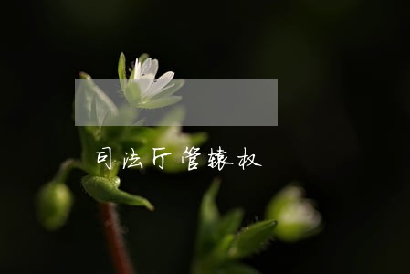 司法厅管辖权 司法厅管辖权