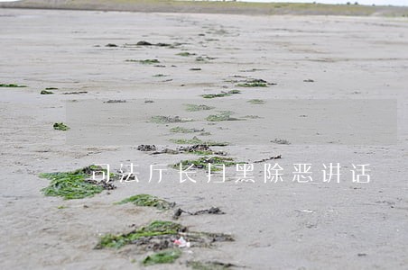 司法厅长扫黑除恶讲话