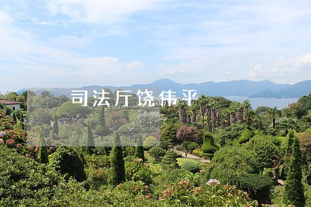 司法厅饶伟平