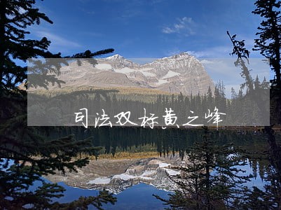 司法双标黄之峰 司法双标黄之峰