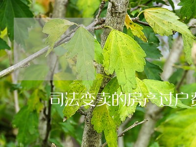 司法变卖的房产过户费用 司法变卖的房产过户费用