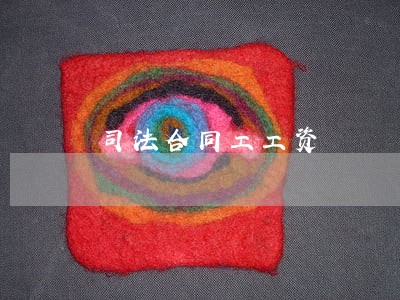 司法合同工工资