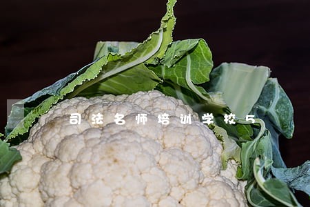 司法名师培训学校5 司法名师培训学校5